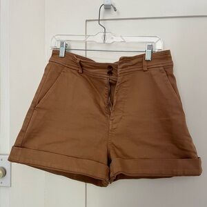 Everlane Brown Chino Shorts 8